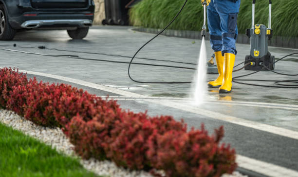 Best Driveway Cleaning and Restoration in Amery, WI